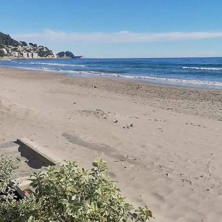 בית אירוח Oasi Relax Riviera אלסיו