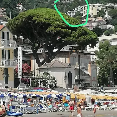 בית אירוח Oasi Relax Riviera אלסיו